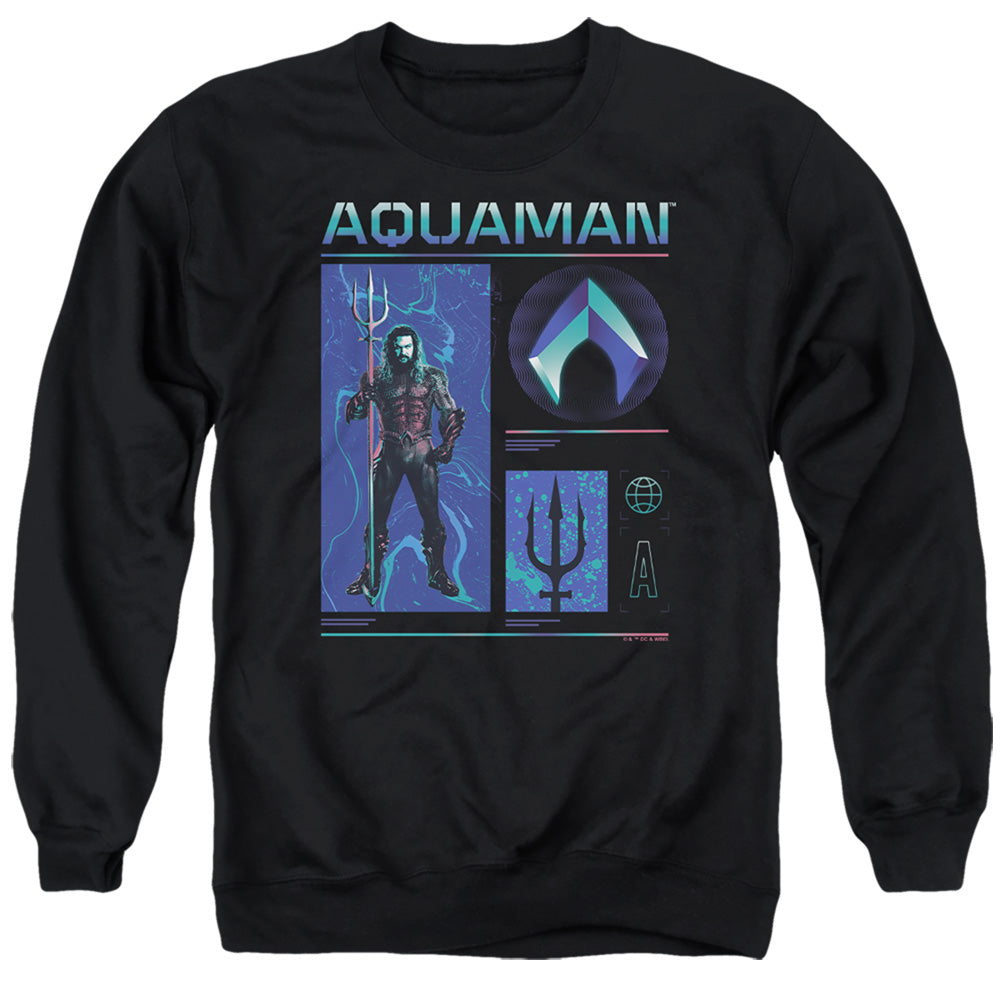 AN OFFCIALLY LICENSED AQUAMAN AND THE LOST KINGDOM AQUAMAN STATS ADULT UNISEX CREWNECK SWEATSHIRT BLACK