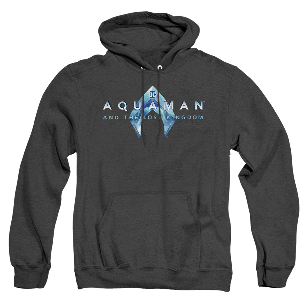 AN OFFCIALLY LICENSED AQUAMAN AND THE LOST KINGDOM LOGO ADULT UNISEX HEATHER PULLOVER HOODIE BLACK