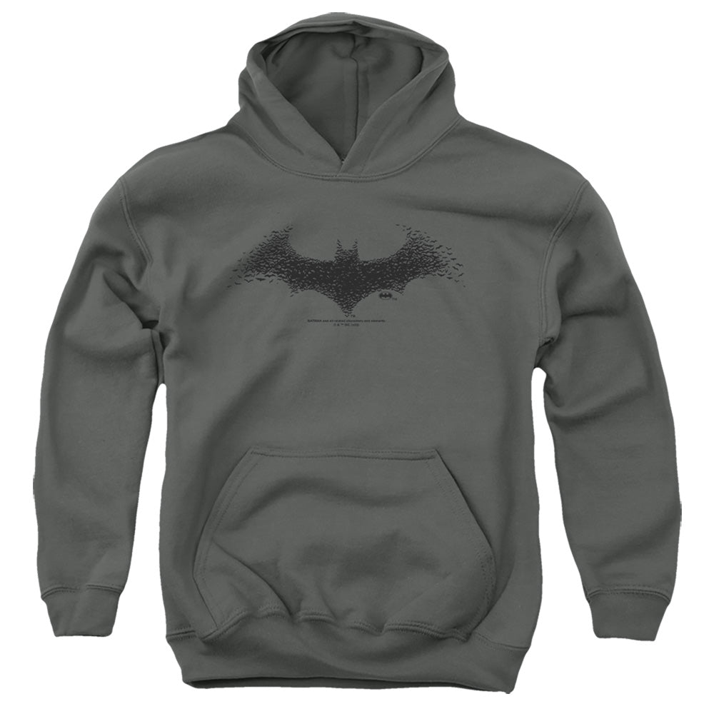AN OFFCIALLY LICENSED BATMAN BAT LOGO 1 YOUTH HOODIE CHARCOAL