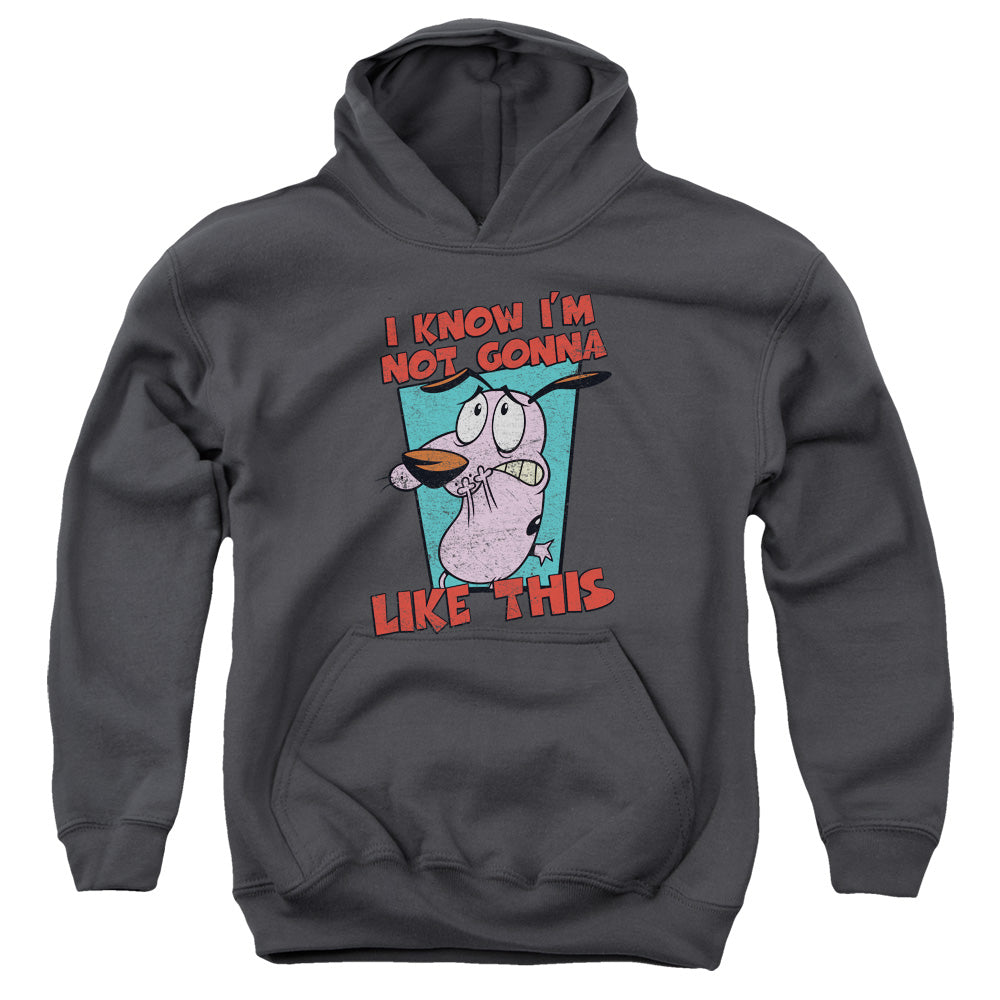 AN OFFCIALLY LICENSED COURAGE THE COWARDLY DOG NOT GONNA LIKE YOUTH HOODIE CHARCOAL