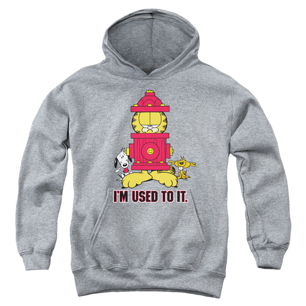 AN OFFCIALLY LICENSED GARFIELD IM USED TO IT YOUTH HOODIE ATHLETIC HEATHER