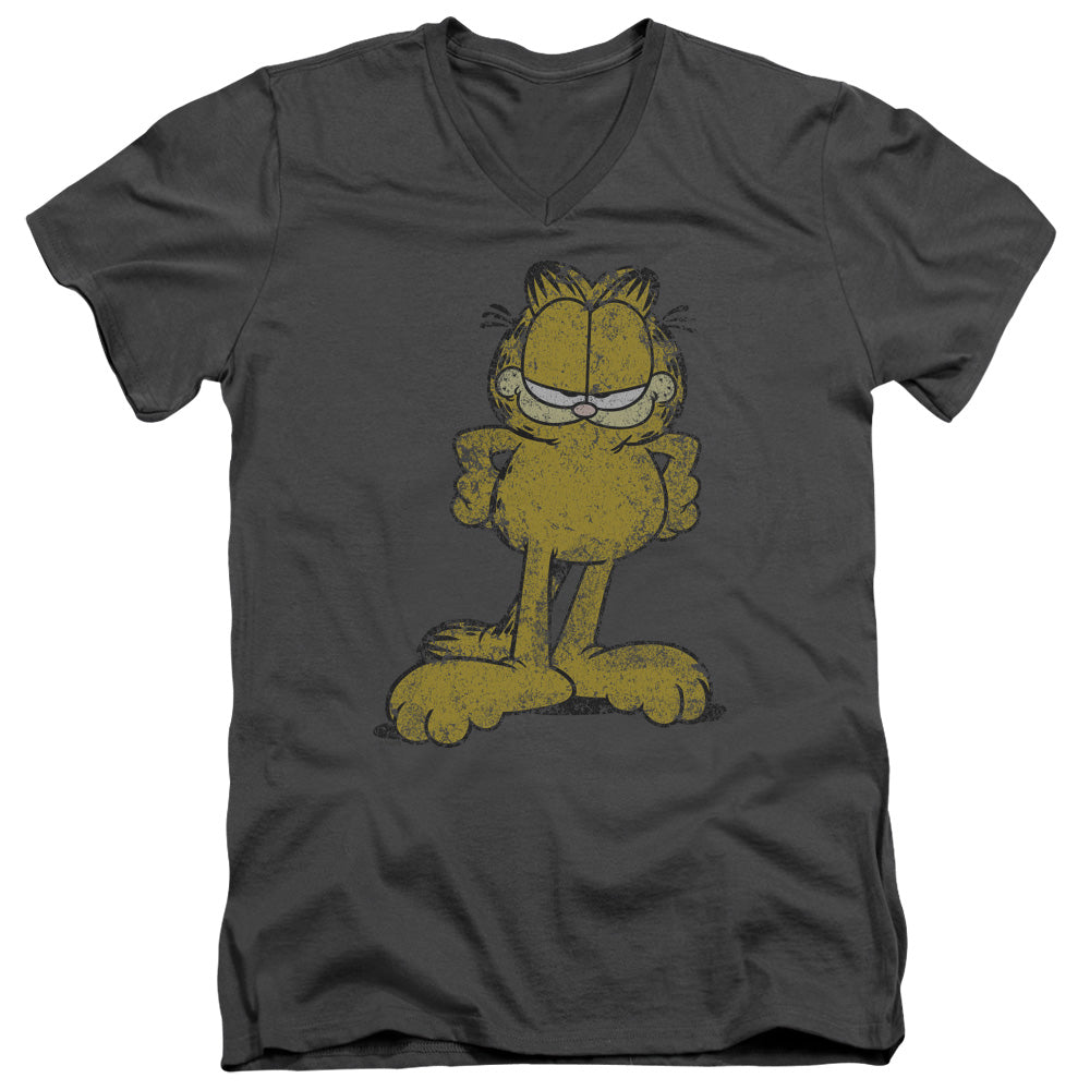 AN OFFCIALLY LICENSED GARFIELD BIG OL CAT MEN'S V-NECK T-SHIRT CHARCOAL