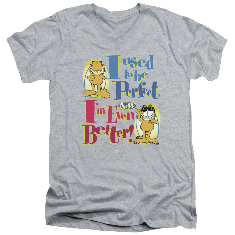 AN OFFCIALLY LICENSED GARFIELD EVEN BETTER MEN'S V-NECK T-SHIRT ATHLETIC HEATHER