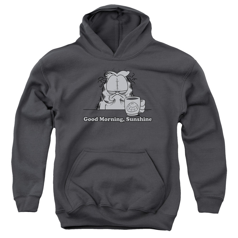 AN OFFCIALLY LICENSED GARFIELD GOOD MORNING SUNSHINE YOUTH HOODIE CHARCOAL
