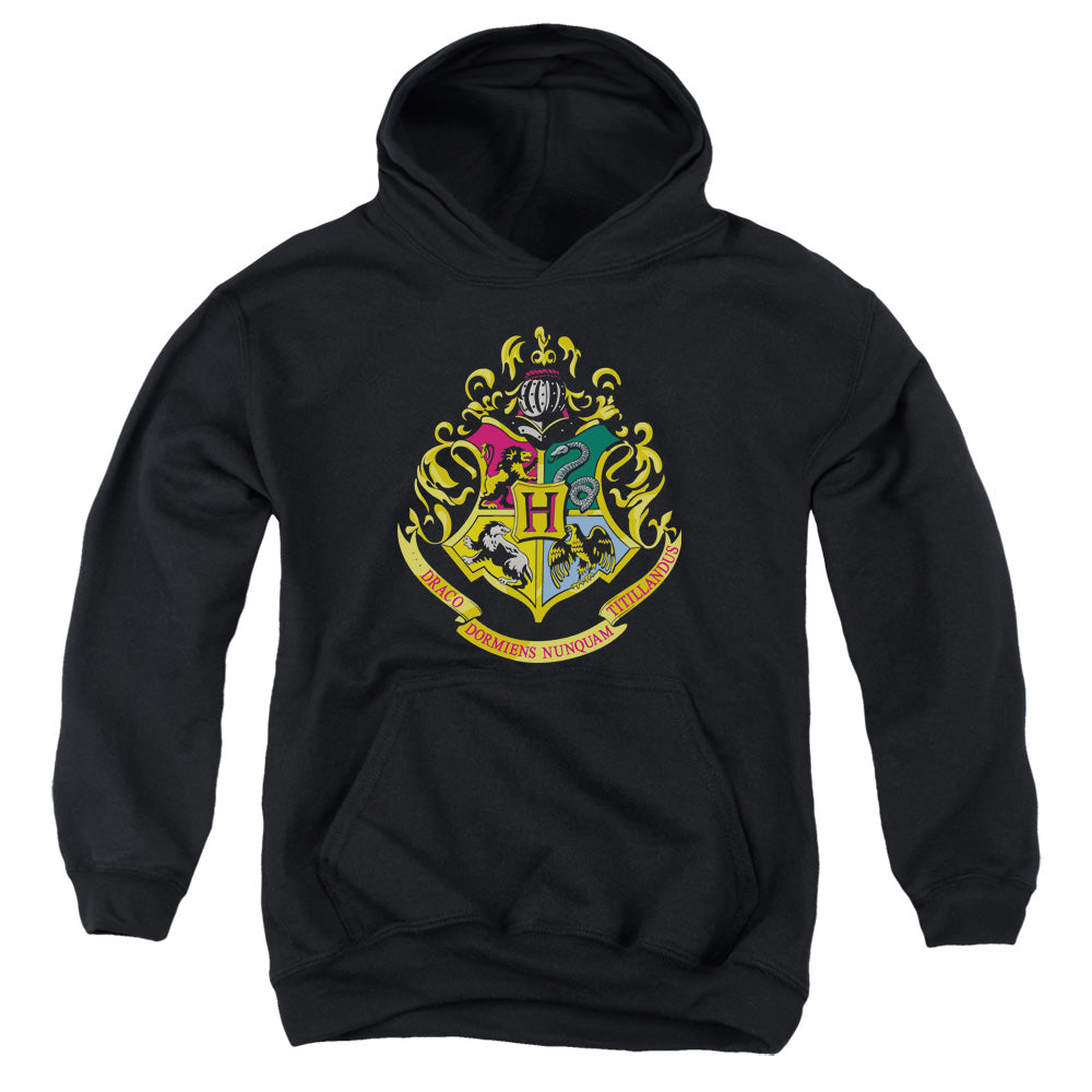 AN OFFCIALLY LICENSED HARRY POTTER HOGWARTS SCHOOL CREST YOUTH HOODIE BLACK