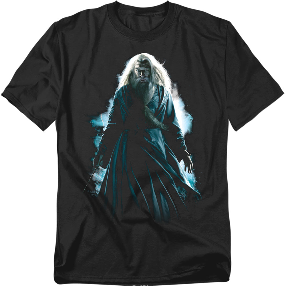 AN OFFCIALLY LICENSED HARRY POTTER DUMBLEDORE BURST MEN'S REGULAR FIT T-SHIRT BLACK
