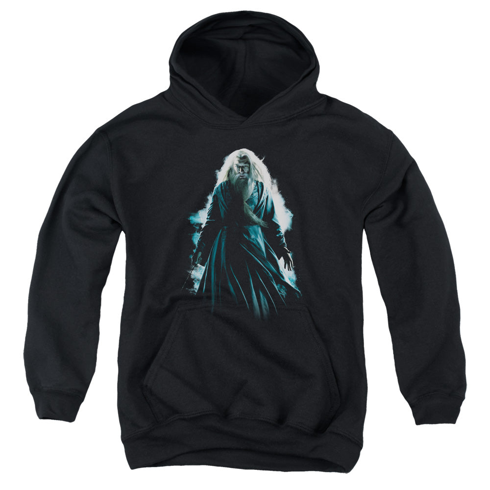 AN OFFCIALLY LICENSED HARRY POTTER DUMBLEDORE BURST YOUTH HOODIE BLACK