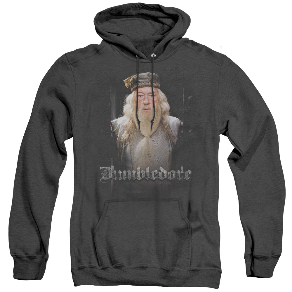 AN OFFCIALLY LICENSED HARRY POTTER DUMBLE DOORS ADULT UNISEX HEATHER PULLOVER HOODIE BLACK