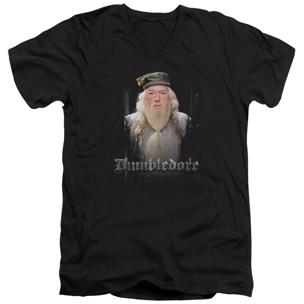 AN OFFCIALLY LICENSED HARRY POTTER DUMBLE DOORS MEN'S V-NECK T-SHIRT BLACK