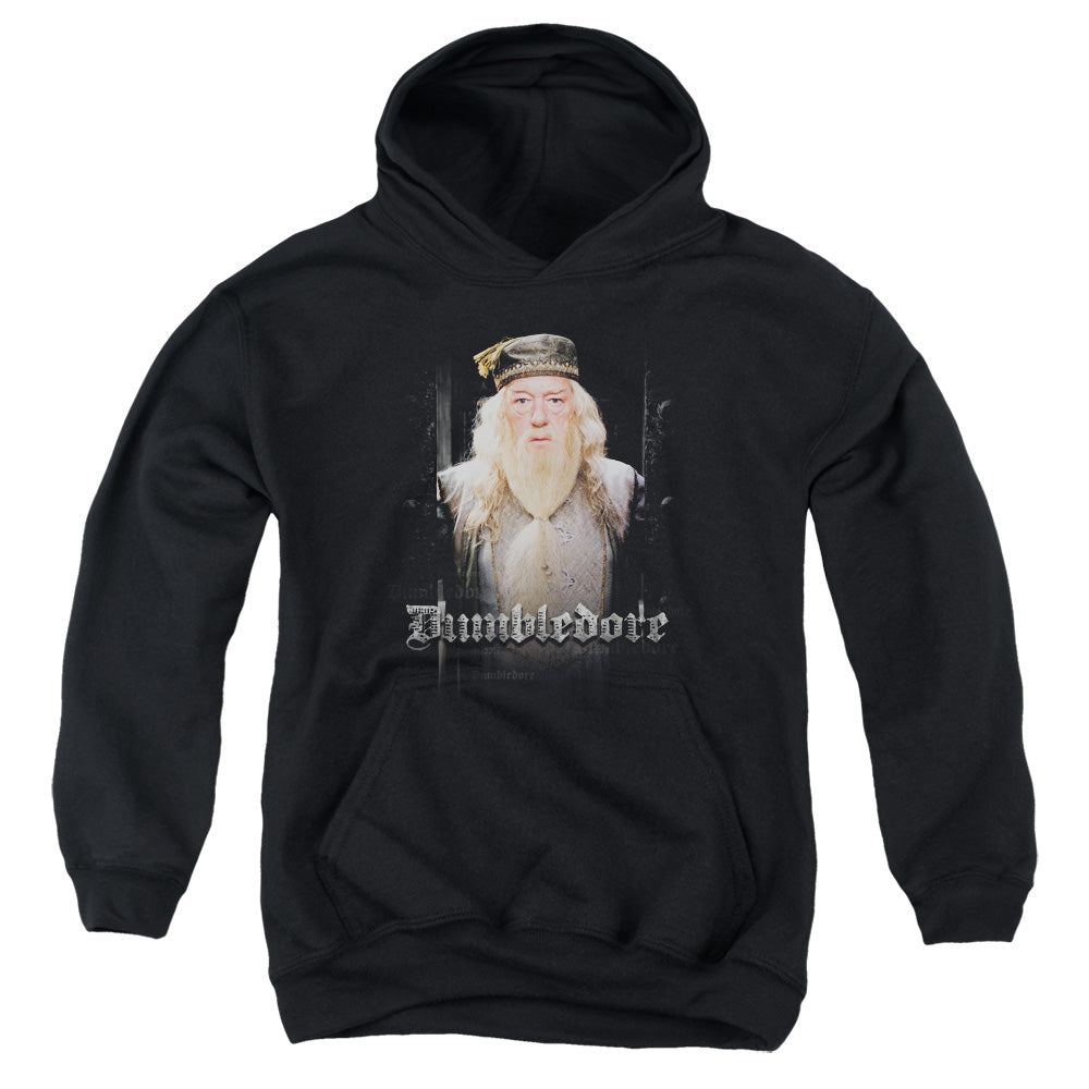 AN OFFCIALLY LICENSED HARRY POTTER DUMBLE DOORS YOUTH HOODIE BLACK