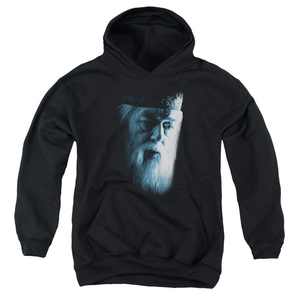 AN OFFCIALLY LICENSED HARRY POTTER DUMBLEDORE FACE YOUTH HOODIE BLACK