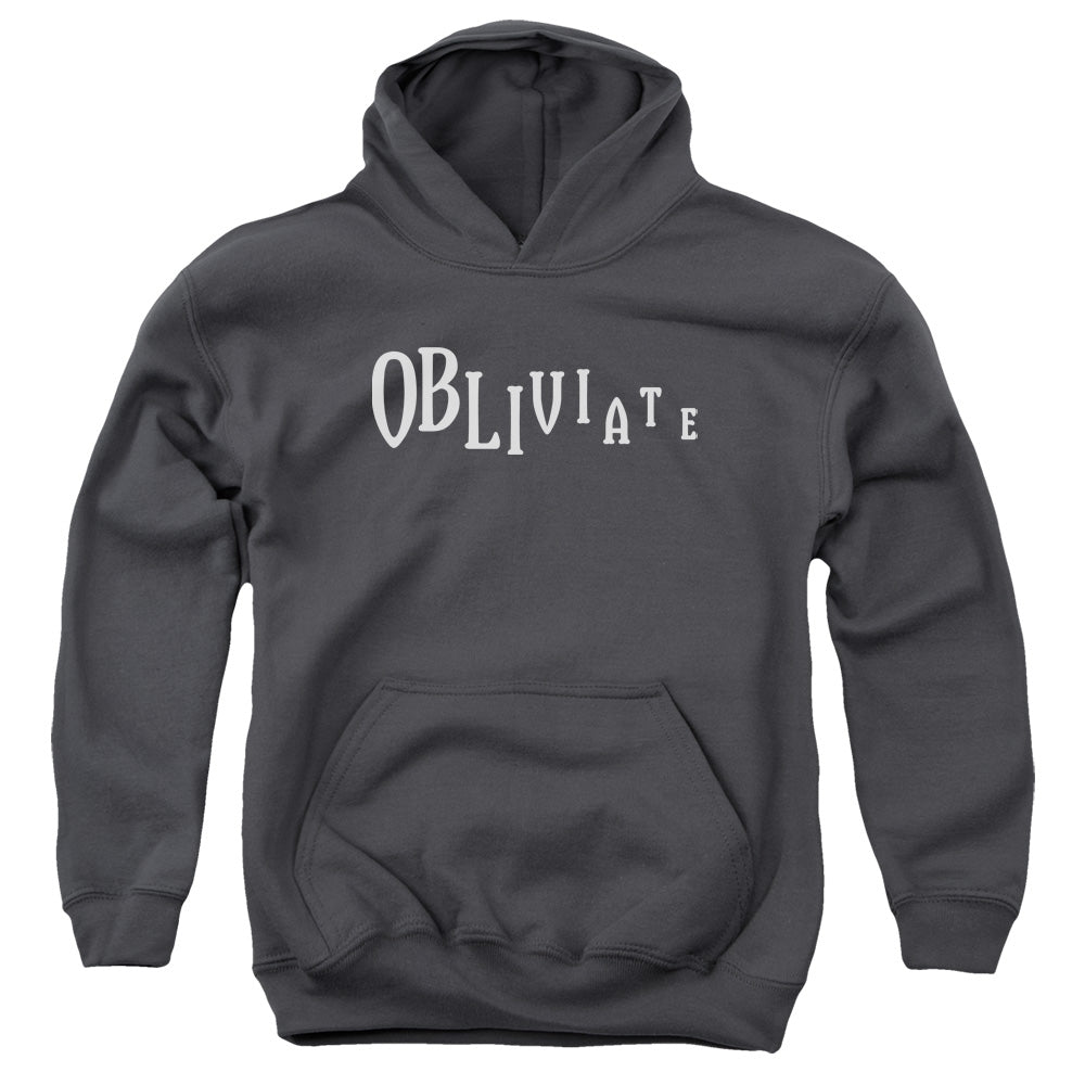AN OFFCIALLY LICENSED HARRY POTTER OBLIVIATE YOUTH HOODIE CHARCOAL