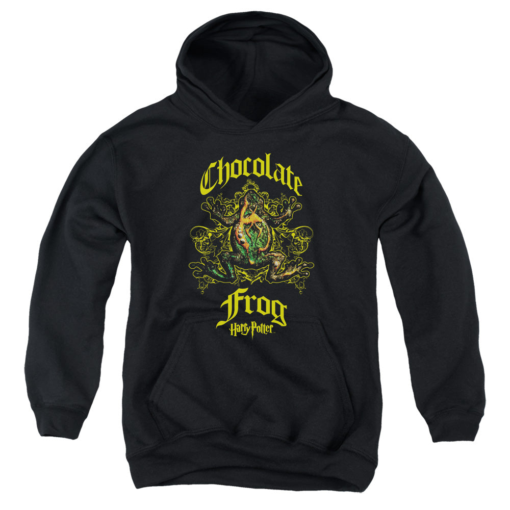 AN OFFCIALLY LICENSED HARRY POTTER CHOCOLATE FROG YOUTH HOODIE BLACK