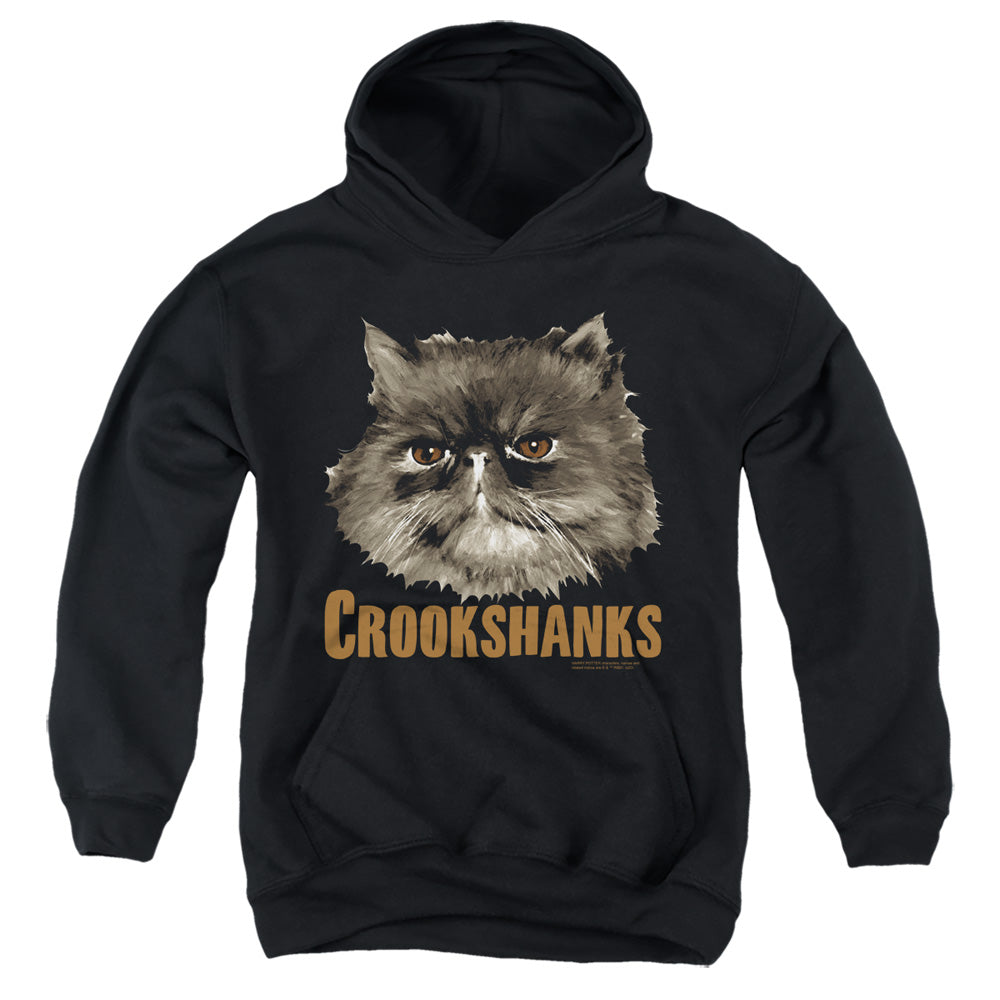 AN OFFCIALLY LICENSED HARRY POTTER CROOKSHANKS YOUTH HOODIE BLACK