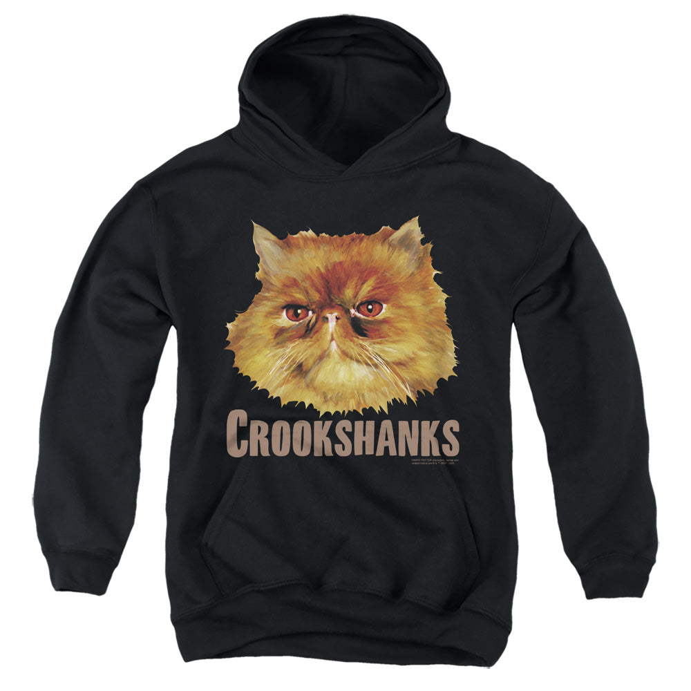 AN OFFCIALLY LICENSED HARRY POTTER CROOKSHANKS COLOR YOUTH HOODIE BLACK