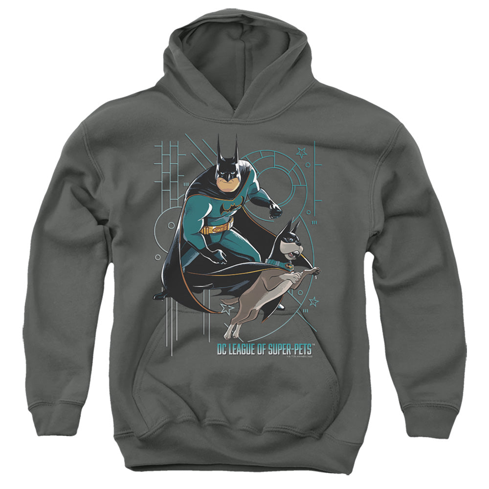 AN OFFCIALLY LICENSED DC LEAGUE OF SUPER PETS BAT AND ACE YOUTH HOODIE CHARCOAL