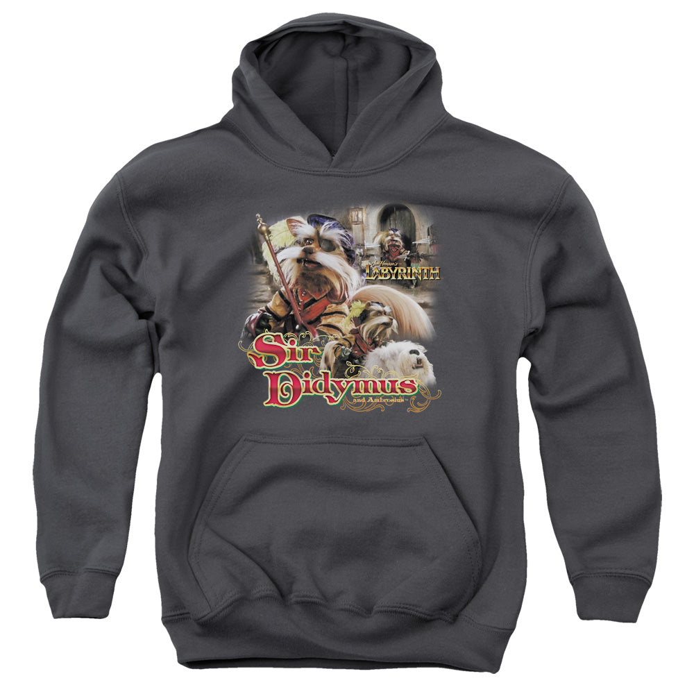 AN OFFCIALLY LICENSED LABYRINTH SIR DIDYMUS YOUTH HOODIE CHARCOAL