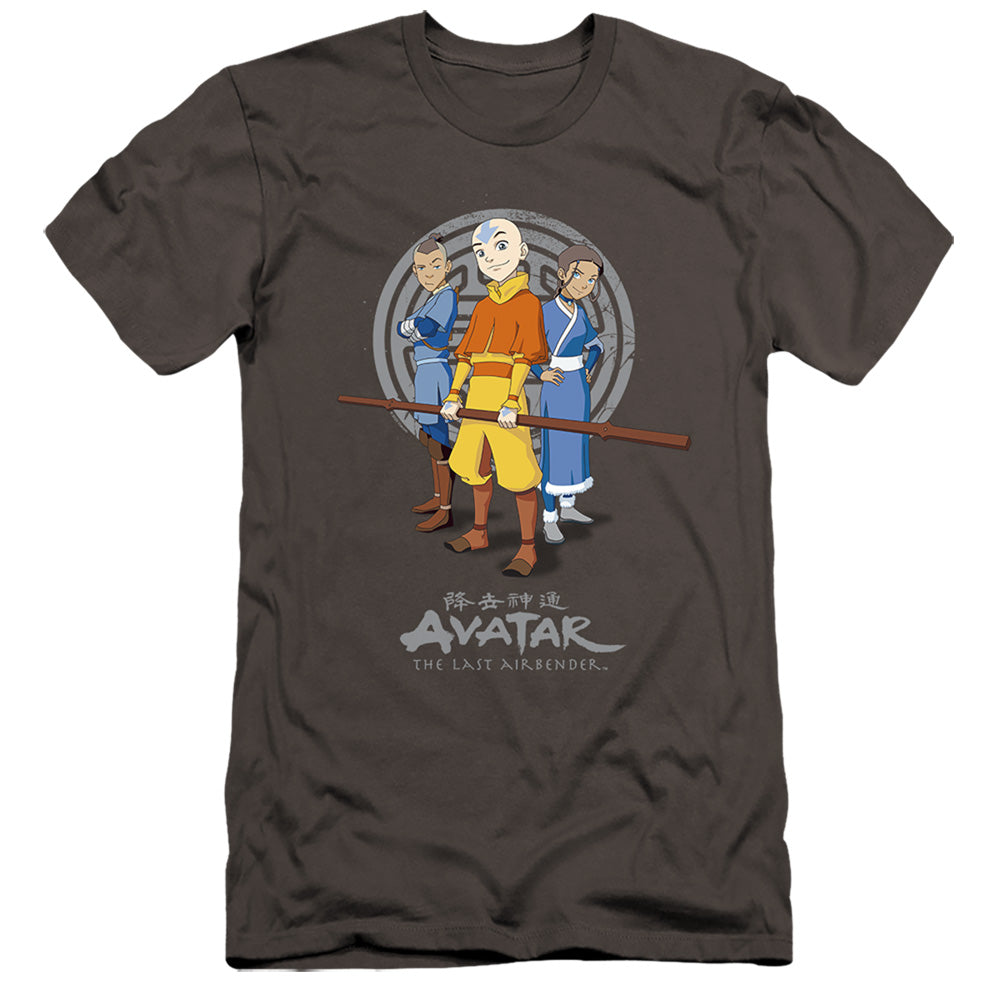 AN OFFCIALLY LICENSED AVATAR THE LAST AIRBENDER TEAM AVATAR MEN'S PREMIUM SLIM FIT T-SHIRT CHARCOAL