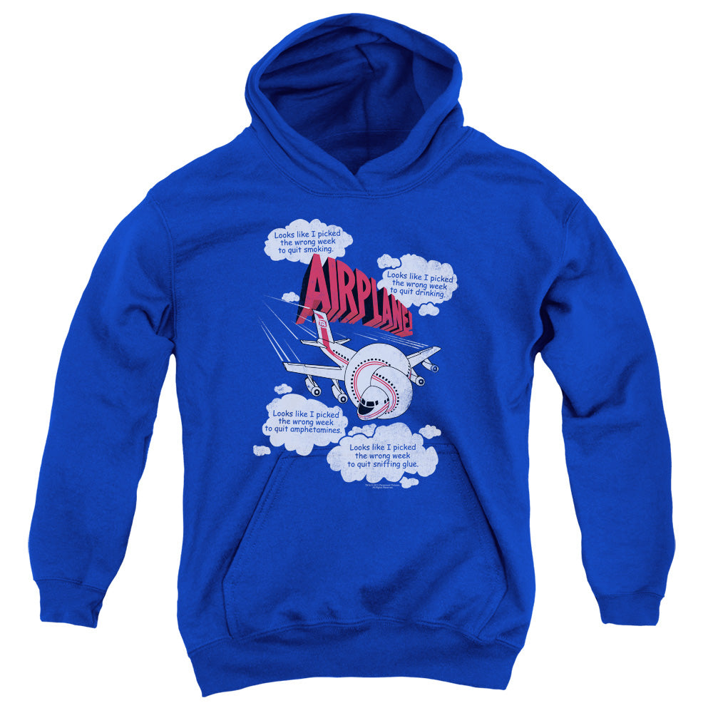 AN OFFCIALLY LICENSED AIRPLANE PICKED THE WRONG DAY YOUTH HOODIE ROYAL