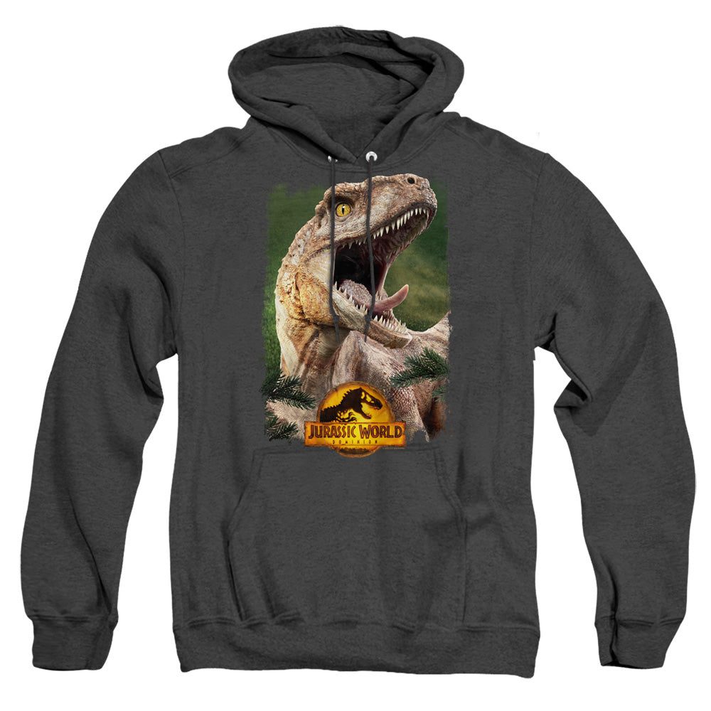 AN OFFCIALLY LICENSED JURASSIC WORLD RAPTOR BEAUTY SHOT ADULT UNISEX HEATHER PULLOVER HOODIE BLACK