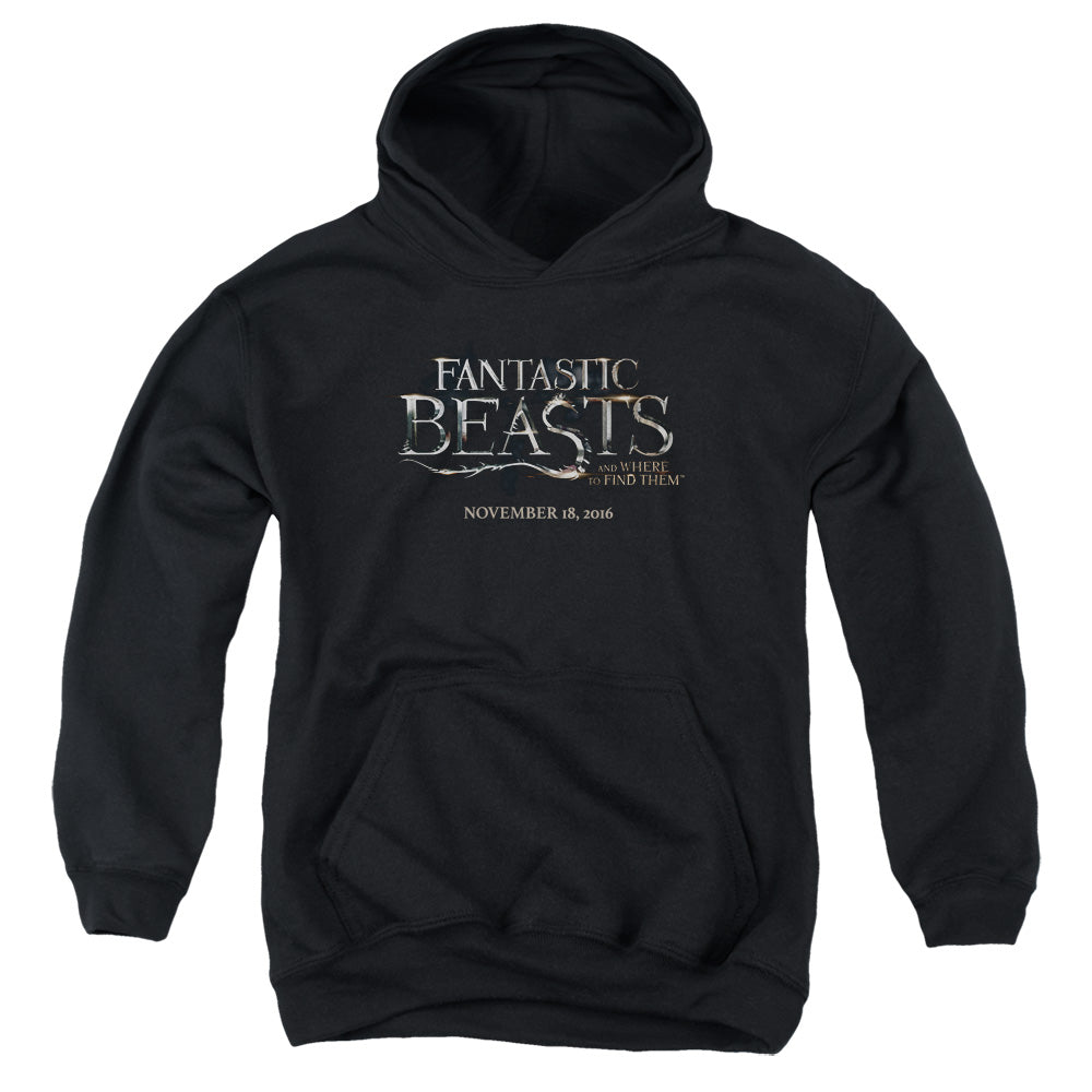 AN OFFCIALLY LICENSED FANTASTIC BEASTS LOGO YOUTH HOODIE BLACK