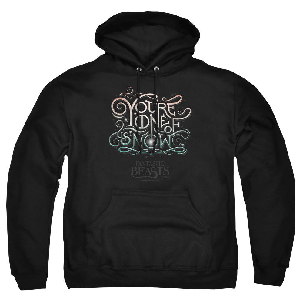 AN OFFCIALLY LICENSED FANTASTIC BEASTS ONE OF US ADULT UNISEX PULLOVER HOODIE BLACK