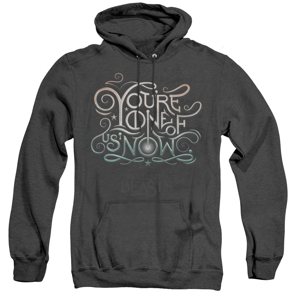 AN OFFCIALLY LICENSED FANTASTIC BEASTS ONE OF US ADULT UNISEX HEATHER PULLOVER HOODIE BLACK