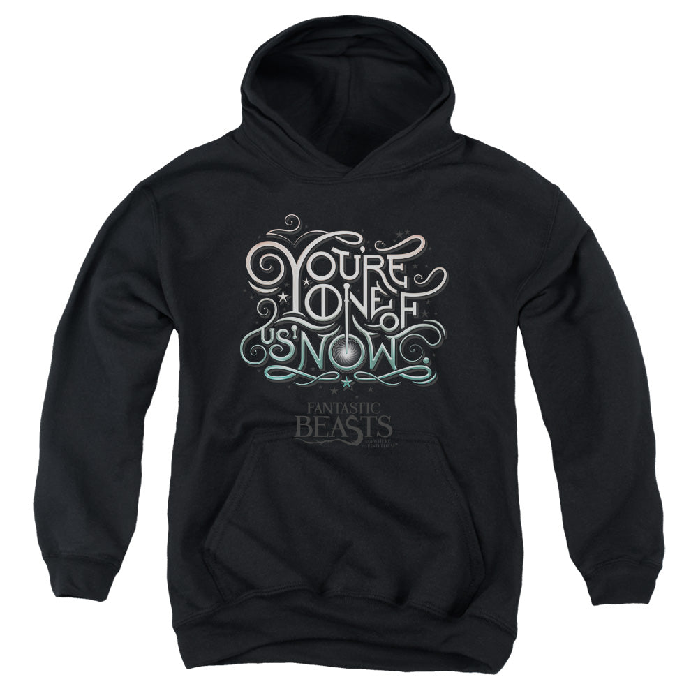 AN OFFCIALLY LICENSED FANTASTIC BEASTS ONE OF US YOUTH HOODIE BLACK