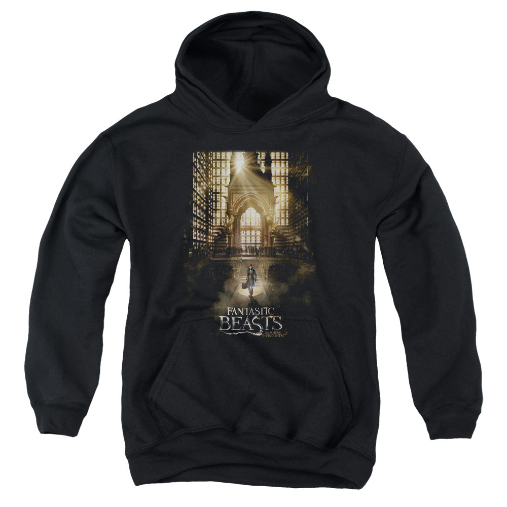 AN OFFCIALLY LICENSED FANTASTIC BEASTS POSTER YOUTH HOODIE BLACK