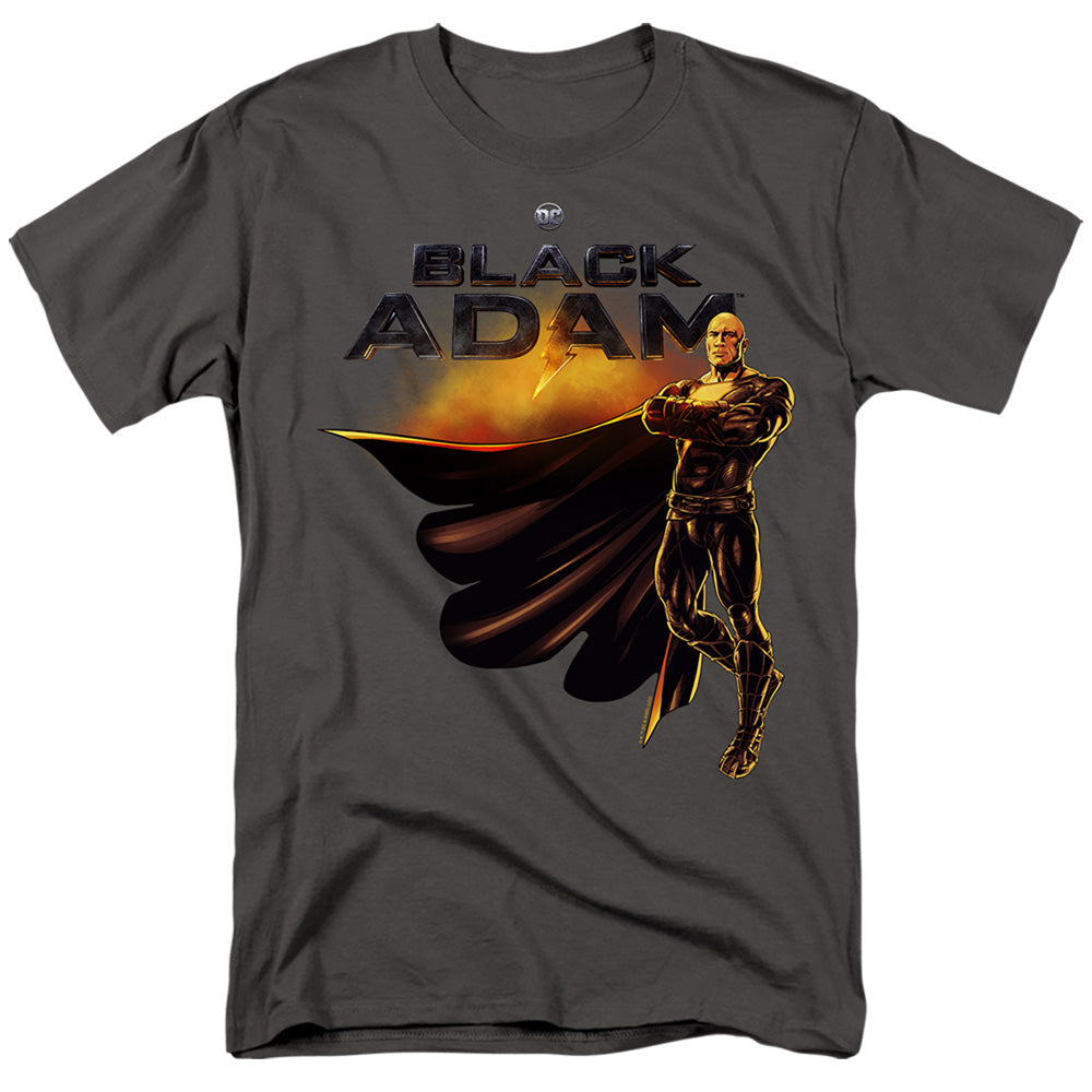AN OFFCIALLY LICENSED BLACK ADAM BLACK ADAM LOGO WITH CHARACTER MEN'S REGULAR FIT T-SHIRT CHARCOAL
