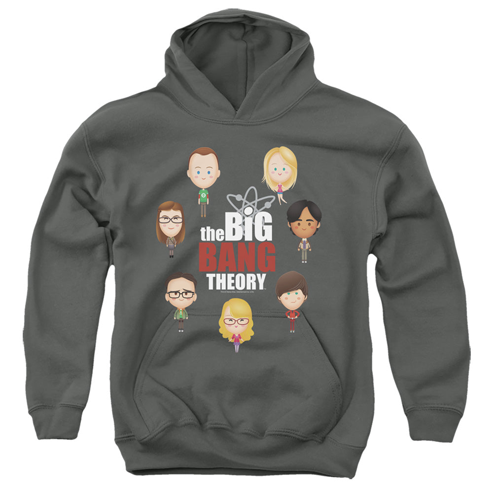 AN OFFCIALLY LICENSED BIG BANG THEORY EMOJIS YOUTH HOODIE CHARCOAL
