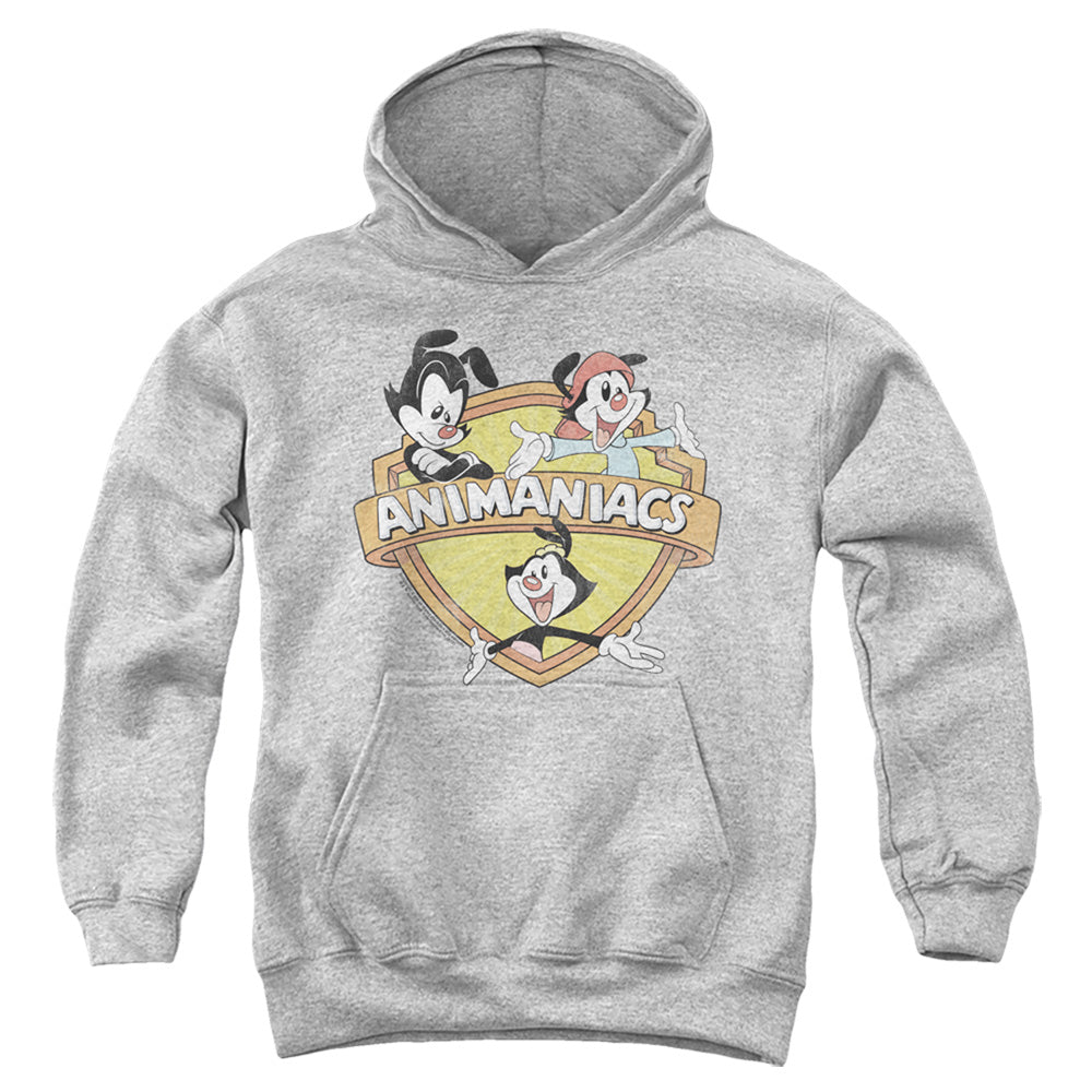AN OFFCIALLY LICENSED ANIMANIACS SHIELDED ANIMANIACS YOUTH HOODIE ATHLETIC HEATHER