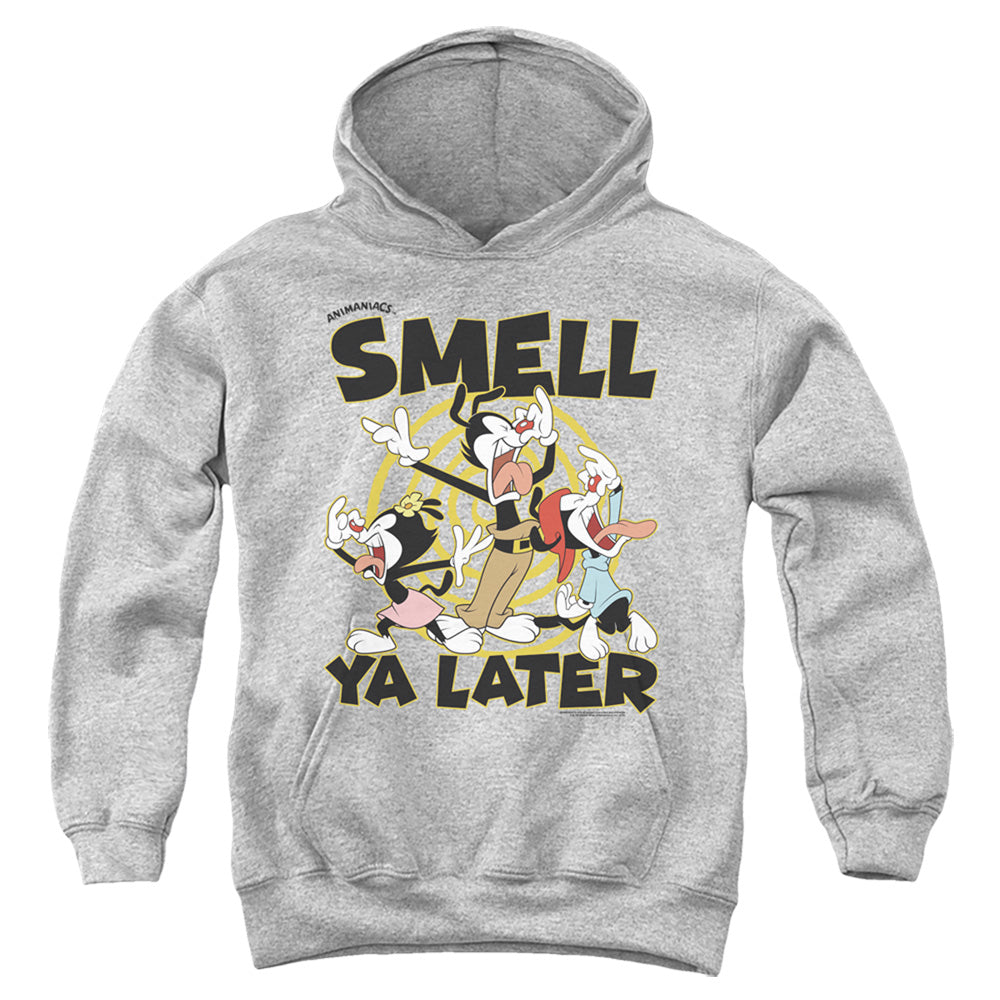 AN OFFCIALLY LICENSED ANIMANIACS SMELL YA LATER YOUTH HOODIE ATHLETIC HEATHER