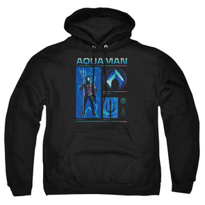AN OFFCIALLY LICENSED AQUAMAN AND THE LOST KINGDOM AQUAMAN STATS ADULT UNISEX PULLOVER HOODIE BLACK