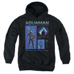 AN OFFCIALLY LICENSED AQUAMAN AND THE LOST KINGDOM AQUAMAN STATS YOUTH HOODIE BLACK
