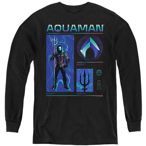 AN OFFCIALLY LICENSED AQUAMAN AND THE LOST KINGDOM AQUAMAN STATS YOUTH LONG SLEEVE T-SHIRT BLACK