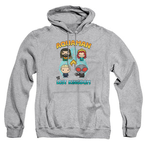 AN OFFCIALLY LICENSED AQUAMAN AND THE LOST KINGDOM CHARACTER LINEUP ADULT UNISEX PULLOVER HOODIE ATHLETIC HEATHER