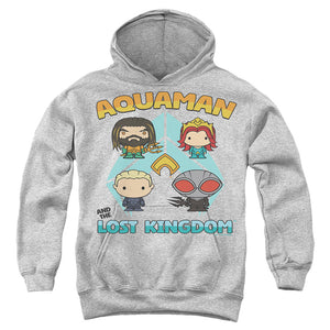 AN OFFCIALLY LICENSED AQUAMAN AND THE LOST KINGDOM CHARACTER LINEUP YOUTH HOODIE ATHLETIC HEATHER