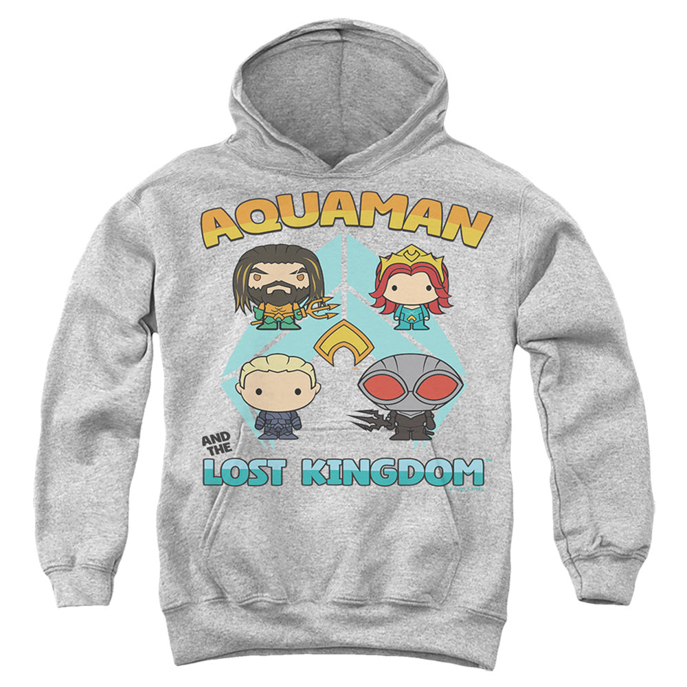 AN OFFCIALLY LICENSED AQUAMAN AND THE LOST KINGDOM CHARACTER LINEUP YOUTH HOODIE ATHLETIC HEATHER