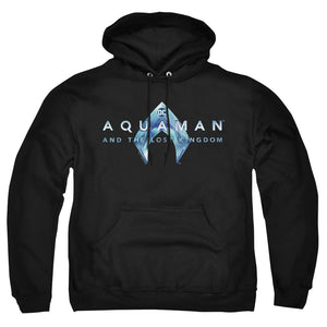 AN OFFCIALLY LICENSED AQUAMAN AND THE LOST KINGDOM LOGO ADULT UNISEX PULLOVER HOODIE BLACK