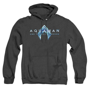 AN OFFCIALLY LICENSED AQUAMAN AND THE LOST KINGDOM LOGO ADULT UNISEX HEATHER PULLOVER HOODIE BLACK