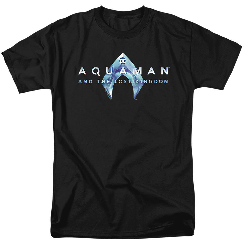 AN OFFCIALLY LICENSED AQUAMAN AND THE LOST KINGDOM LOGO MEN'S REGULAR FIT T-SHIRT BLACK