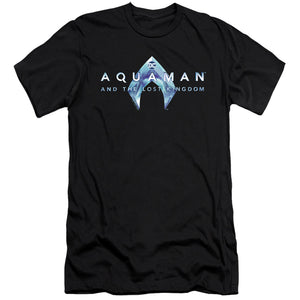 AN OFFCIALLY LICENSED AQUAMAN AND THE LOST KINGDOM LOGO MEN'S PREMIUM SLIM FIT T-SHIRT BLACK