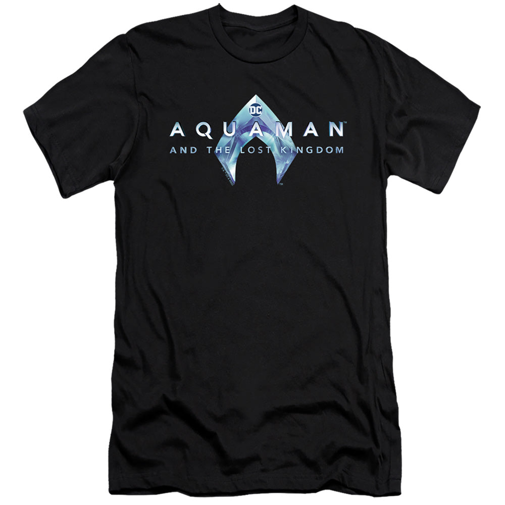 AN OFFCIALLY LICENSED AQUAMAN AND THE LOST KINGDOM LOGO MEN'S PREMIUM SLIM FIT T-SHIRT BLACK