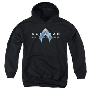 AN OFFCIALLY LICENSED AQUAMAN AND THE LOST KINGDOM LOGO YOUTH HOODIE BLACK