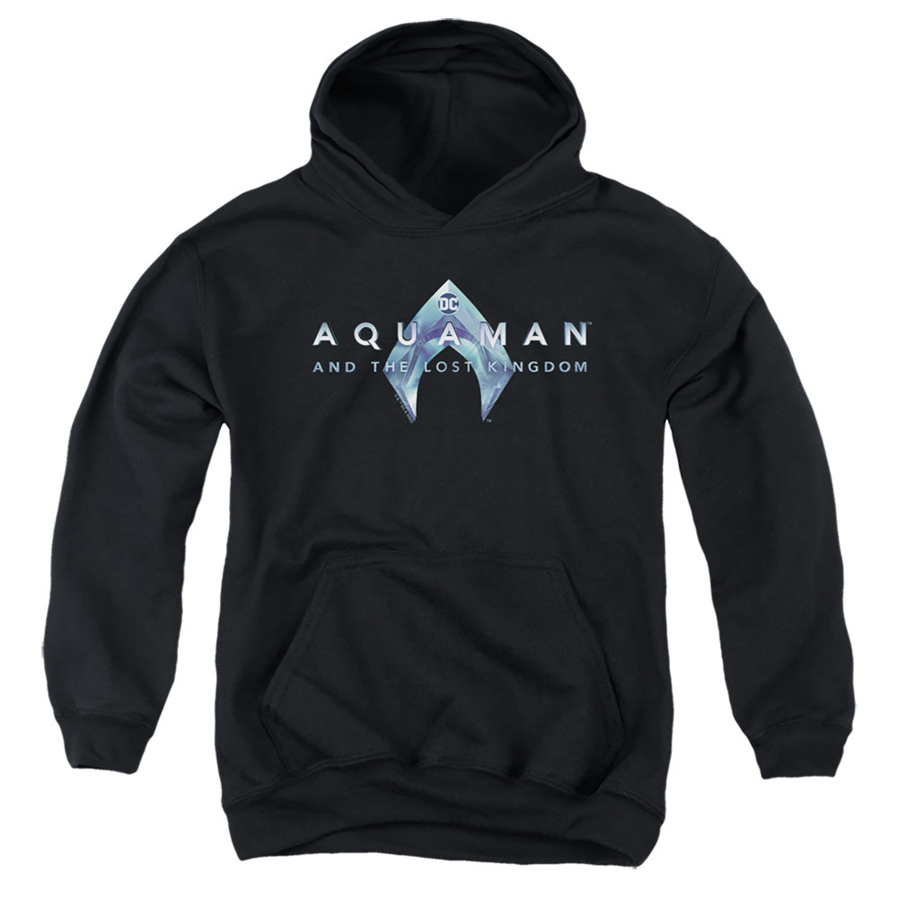 AN OFFCIALLY LICENSED AQUAMAN AND THE LOST KINGDOM LOGO YOUTH HOODIE BLACK