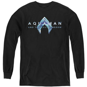 AN OFFCIALLY LICENSED AQUAMAN AND THE LOST KINGDOM LOGO YOUTH LONG SLEEVE T-SHIRT BLACK
