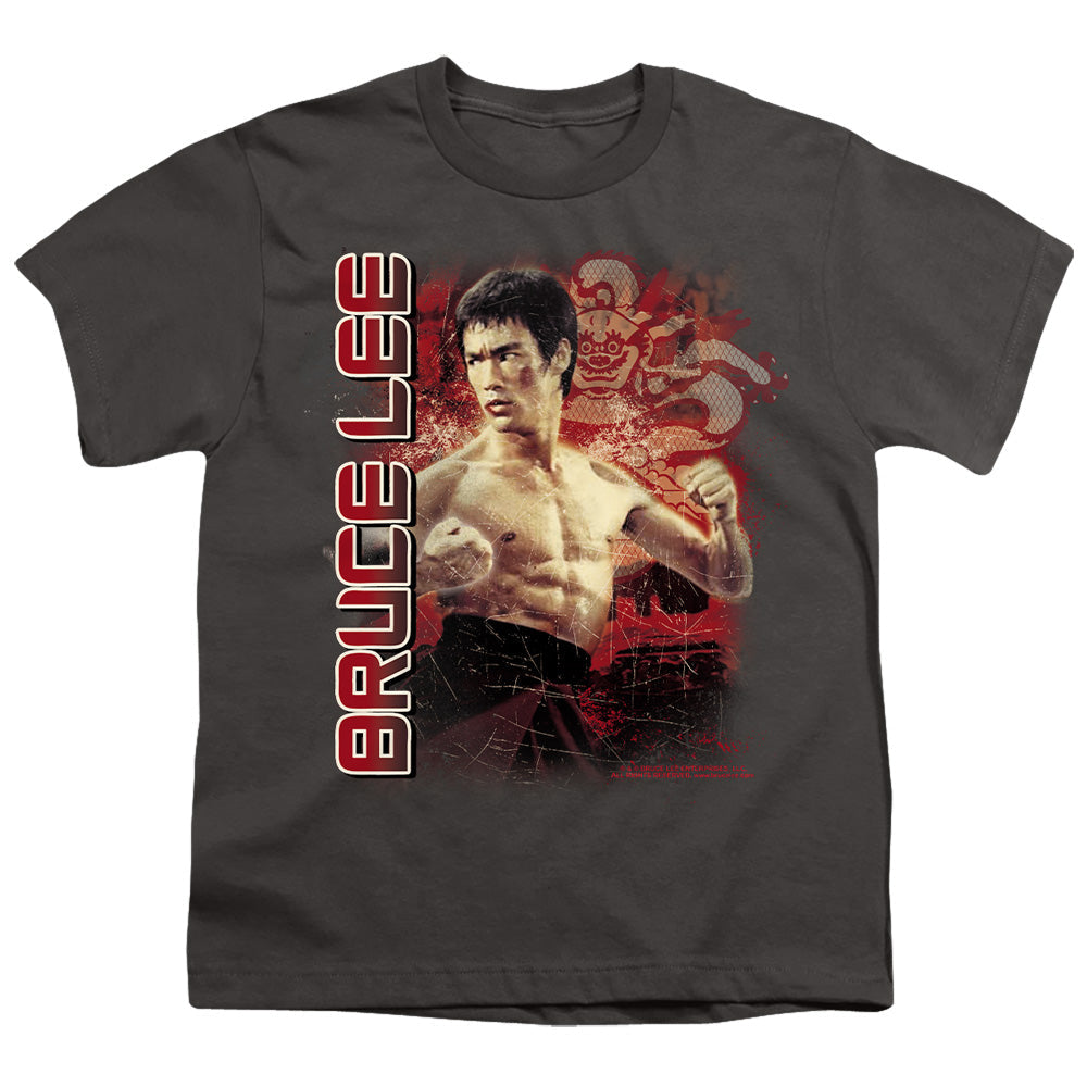Bruce Lee Fury Licensed Kid's T-Shirt (Ages 4-7) XS-XL