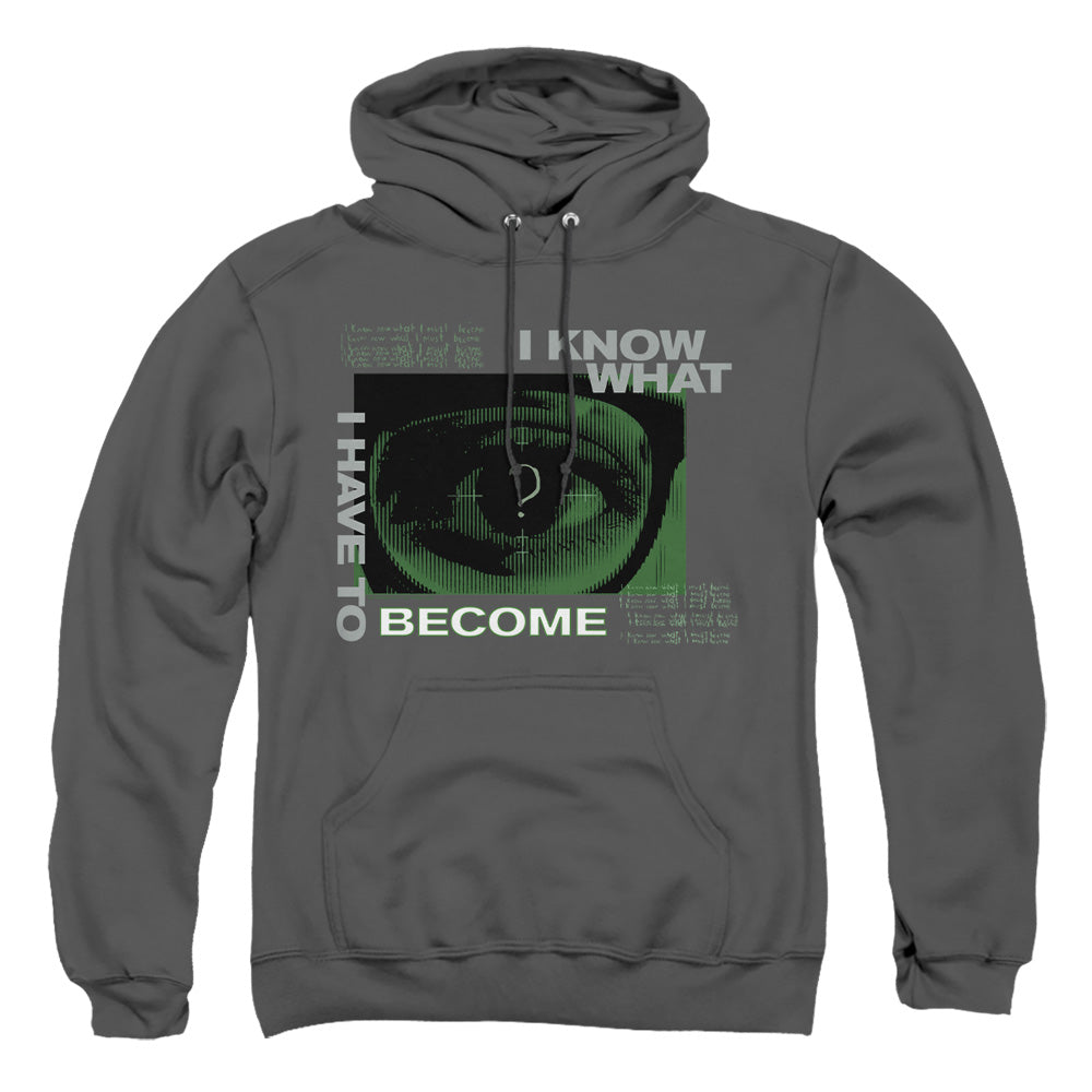 The Batman Become The Riddler Licensed Adult Unisex Hoodie Pullover SM-3X