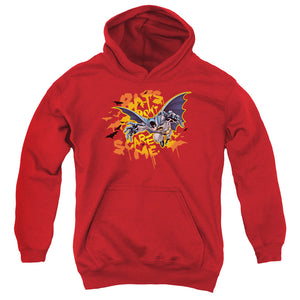 AN OFFCIALLY LICENSED BATMAN BATS DONT SCARE ME YOUTH HOODIE RED
